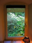 36-Strauchhortensie2.jpg