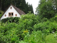 04-Haus fast zugewachsen.JPG