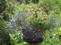 15-Blümchen 1.JPG