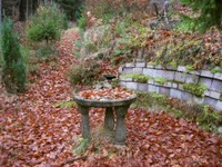 18-Herbst 2012-4.jpg