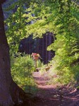 19-Buchenallee.jpg