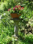 20-Blumensäule web.jpg