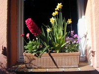 27-Fenster5.jpg