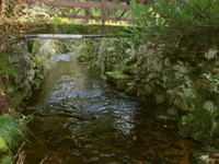 32-im Bach 1.jpg