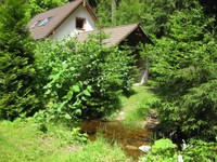 33-IMG_2904.JPG