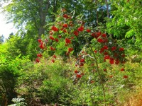 55-IMG_0759.JPG