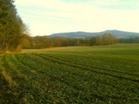 57-Februar!-Blick nach Leupoldsdorf.jpg