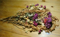 59-Wiesenblumen - verblichen.jpg