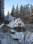 61-Dornröschen im Winterschlaf2.jpg