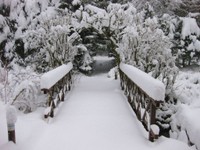 65-Winterwald-1.JPG