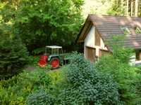03-Blick vom Haus zur Garage mit Xaver-2.jpg