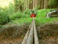 10-Holz machen 1.jpg