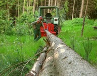 11-Holz machen 2.jpg