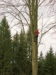 33-Buchenabschied 1.jpg